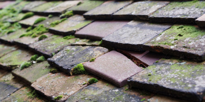 Llanbabo roof repair costs